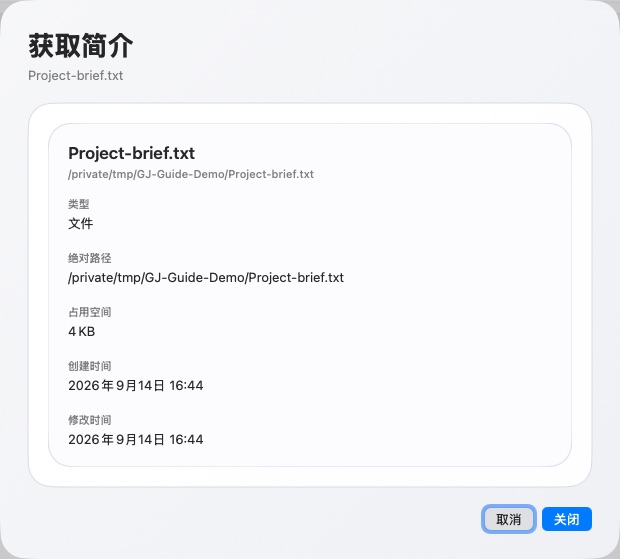 See and copy a file path on Mac — Real product screenshot · sample files · Chinese interface
